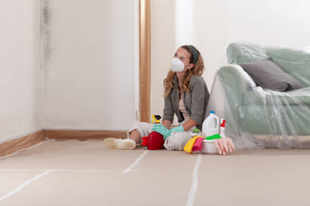 Reliable Mold Remediation contractor in Knoxville, TN by WQB Mold Removal